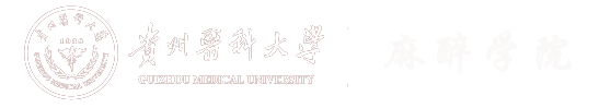 2026美加墨世界杯官方网